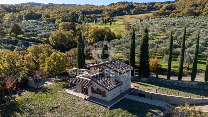 House in Campiglia d'Orcia - view 1