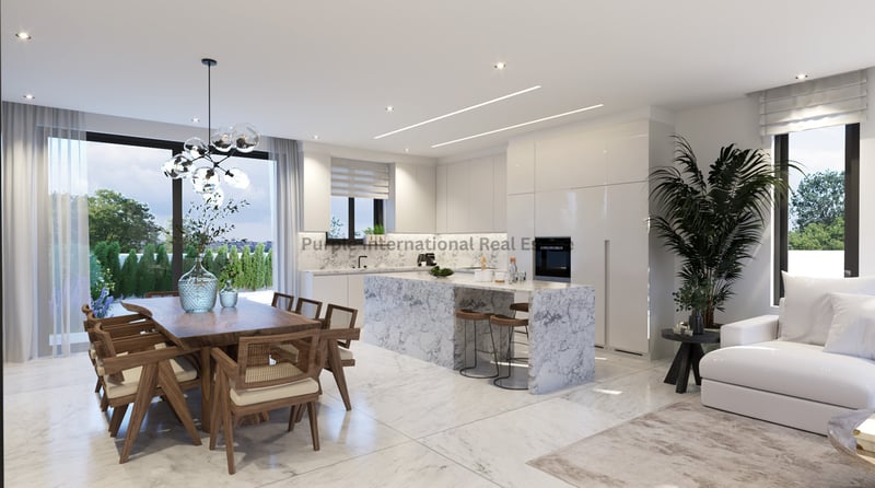 House in Deryneia - view 1