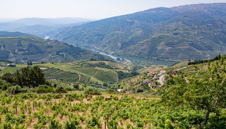 House in Vila Marim - view 1