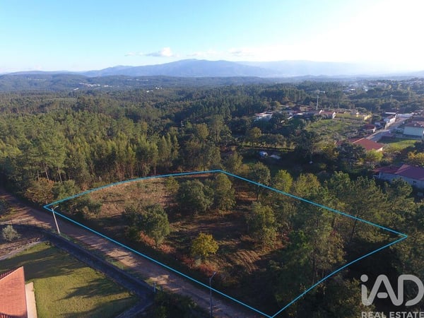 Land in Vila Nova de Poiares - view 1