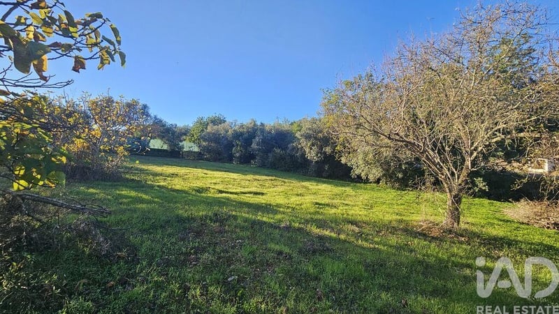 Land in Santa Barbara de Nexe - view 1