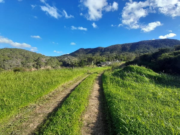 House in Sant Josep de sa Talaia - view 1