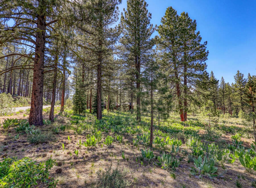 House in Truckee - Image 4