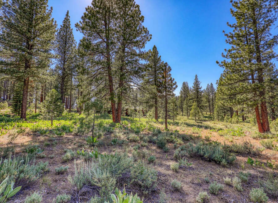 House in Truckee - Image 3