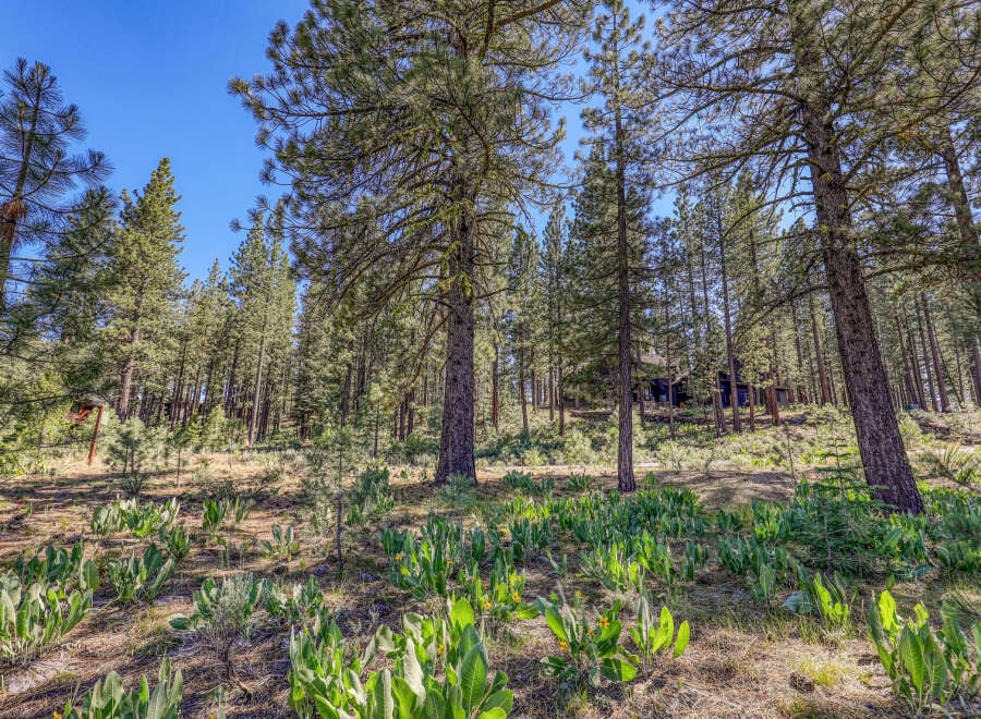 House in Truckee - Image 2