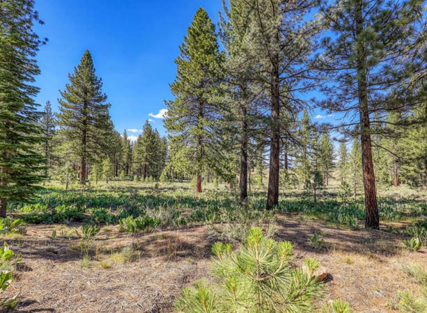 House in Truckee - view 1