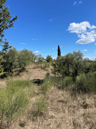 Land in Giannades - view 1