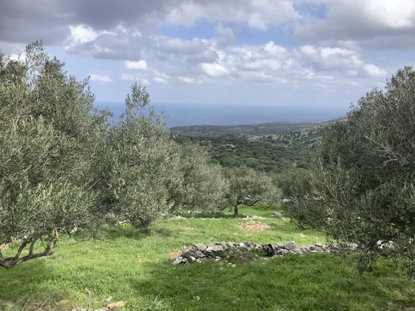 House in Agios Nikolaos - view 1