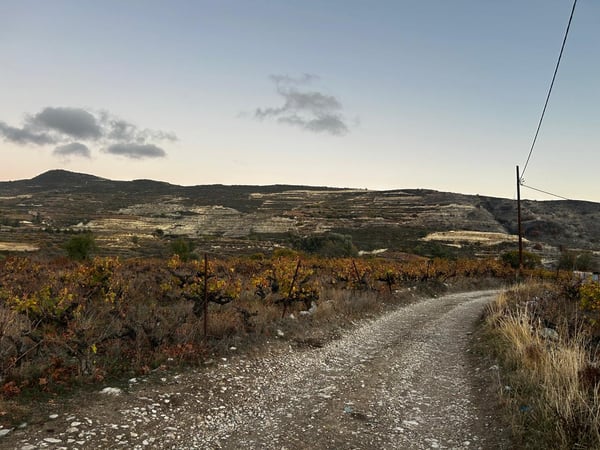 House in Omodos - view 1