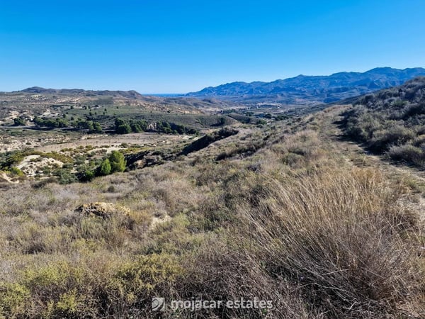 House in Los Manos - view 1