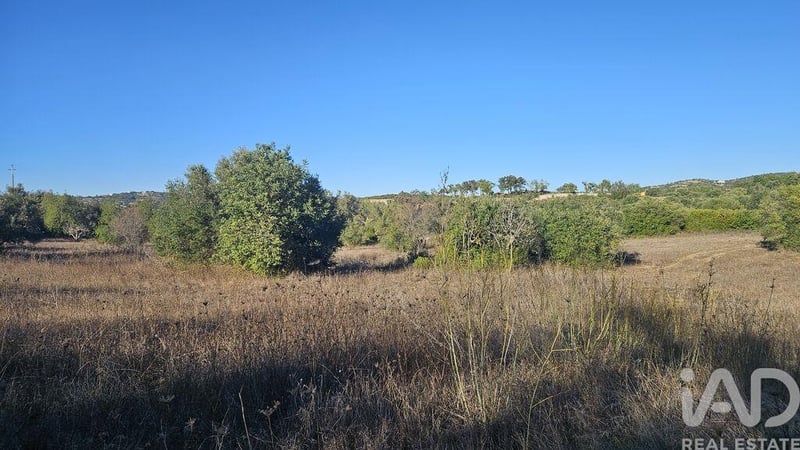 Land in Santa Barbara de Nexe - view 1
