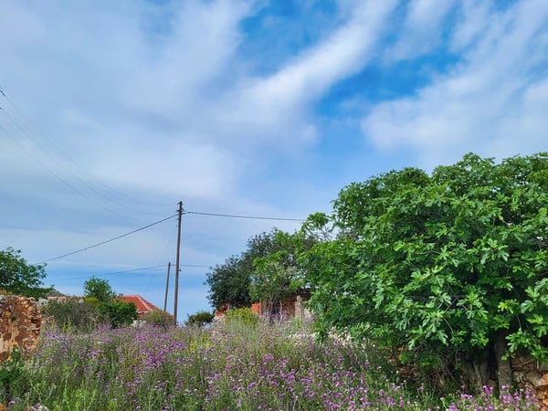 Land in Likotinarea - view 1