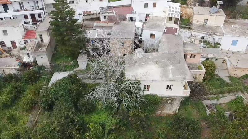 Villa in Fodele - view 1