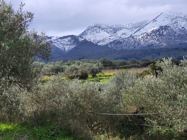 Land in Agioi Pantes - view 1