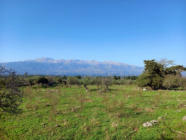 Land in Kefalas - view 1