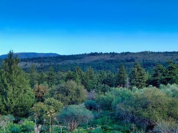 Land in Sellia - view 1