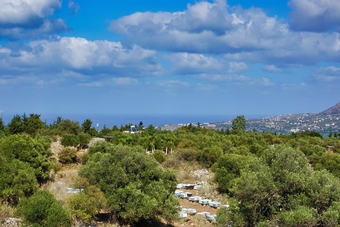 Land in Vamos - view 1