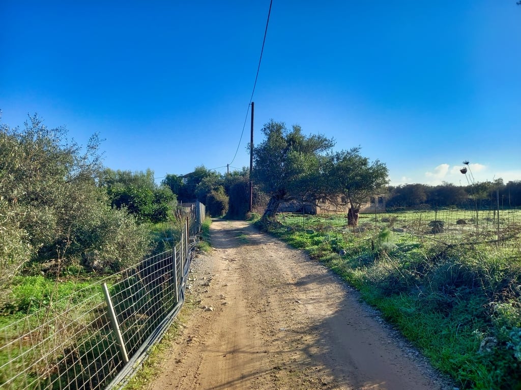 Land in Litsardha - Image 3