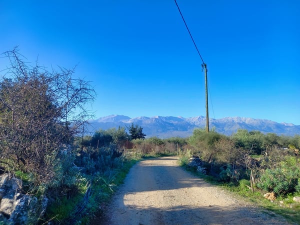 Land in Litsardha - view 1