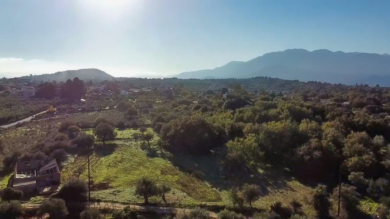 Land in Litsardha - Image 2