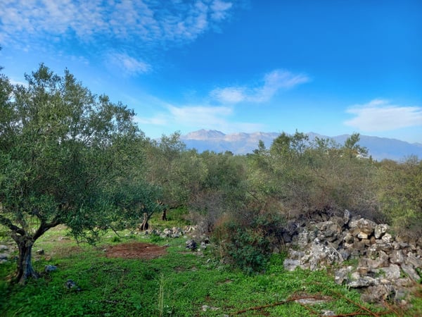 Land in Kefalas - view 1
