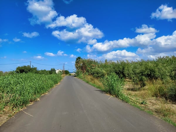 Land in Nopigeia - view 1