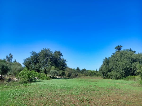 Land in Vamos - view 1