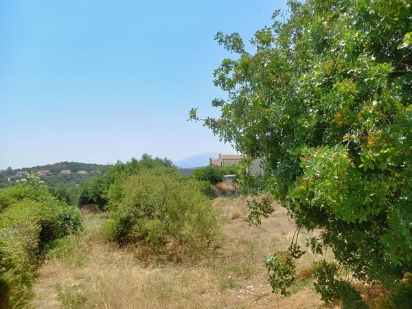 Land in Tsivaras - view 1