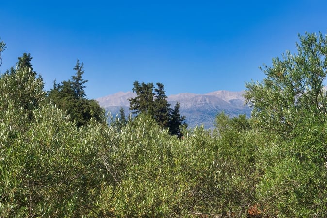 Land in Vamos - view 1