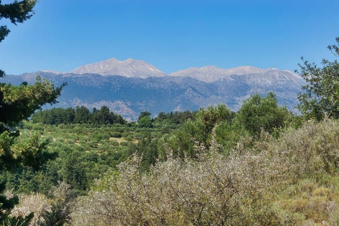 Land in Kalamitsi Alexandrou - view 1