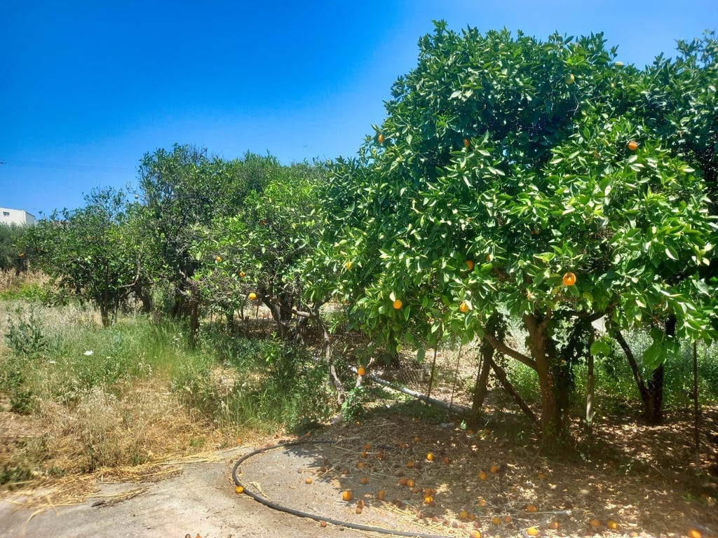 Land in Kalyves - Image 2