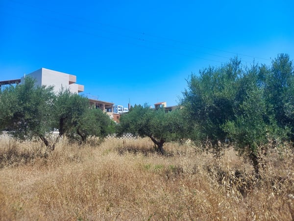 Land in Kalyves - view 1