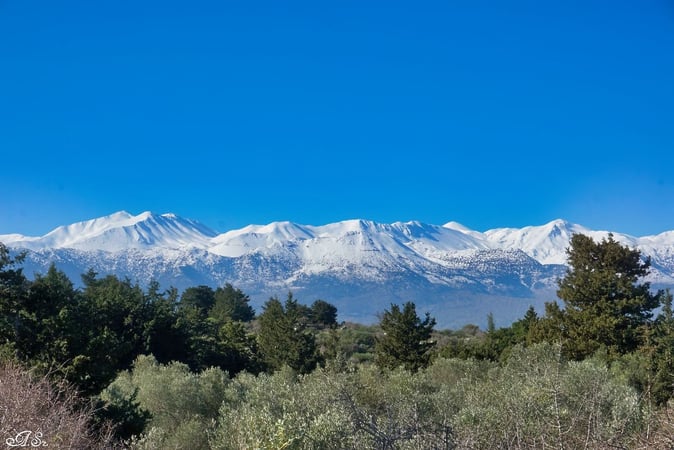 Land in Souri - view 1