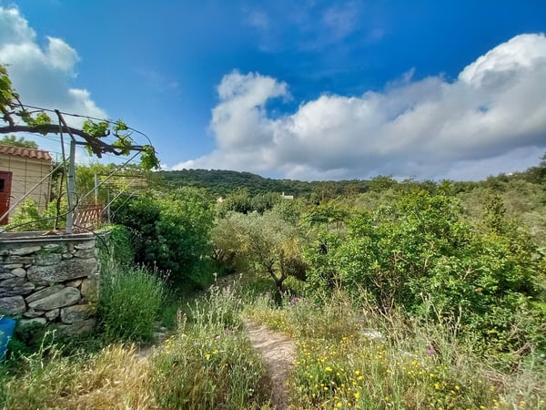 Land in Agios Pavlos - view 1