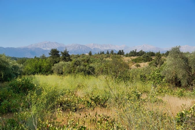 Land in Vamos - view 1