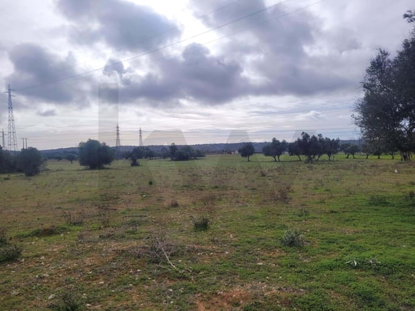 Land in Tunes - view 1