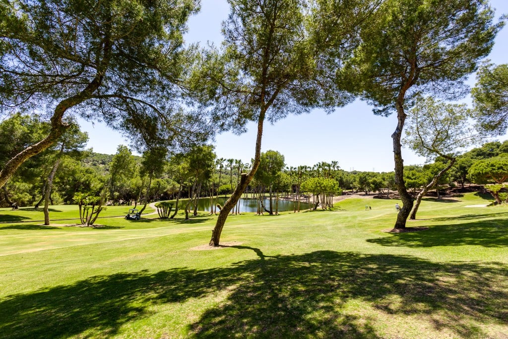 Villa in Dehesa de Campoamor - Image 4