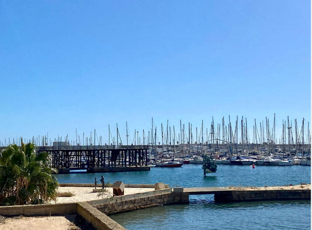 Apartment in Torrevieja - Image 5