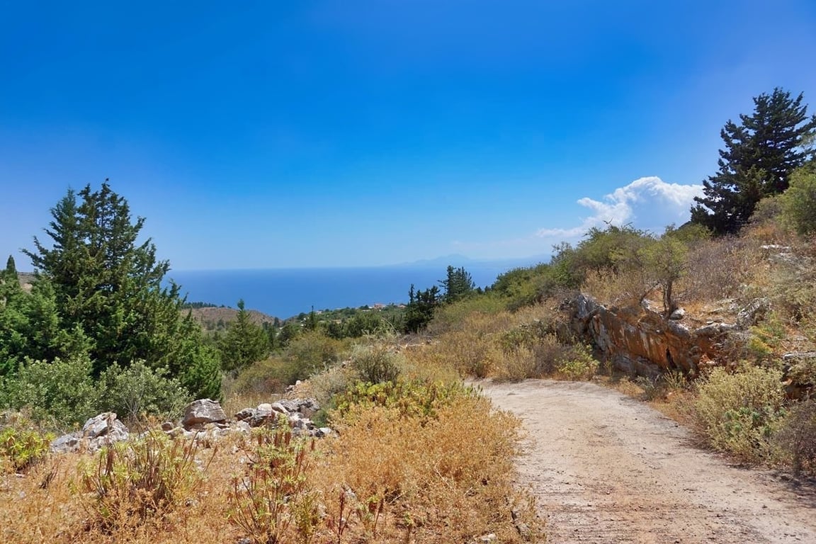 Land in Likotinarea - Image 2