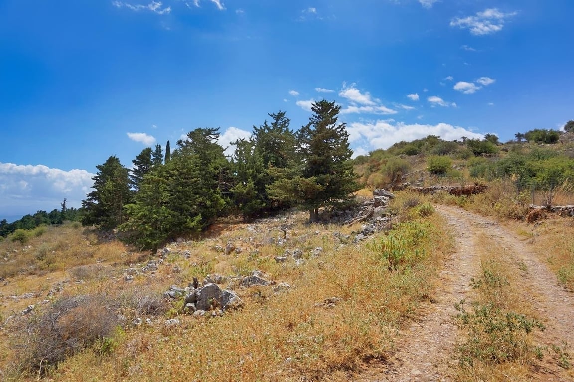 Land in Likotinarea - Image 3