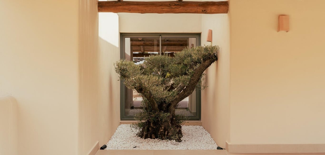 House in Javea - Image 5