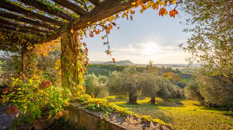 House in Montenero - view 1