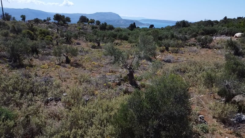 Land in Drapanos - view 1