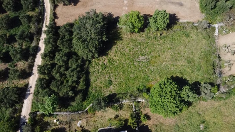 Land in Vamos - view 1