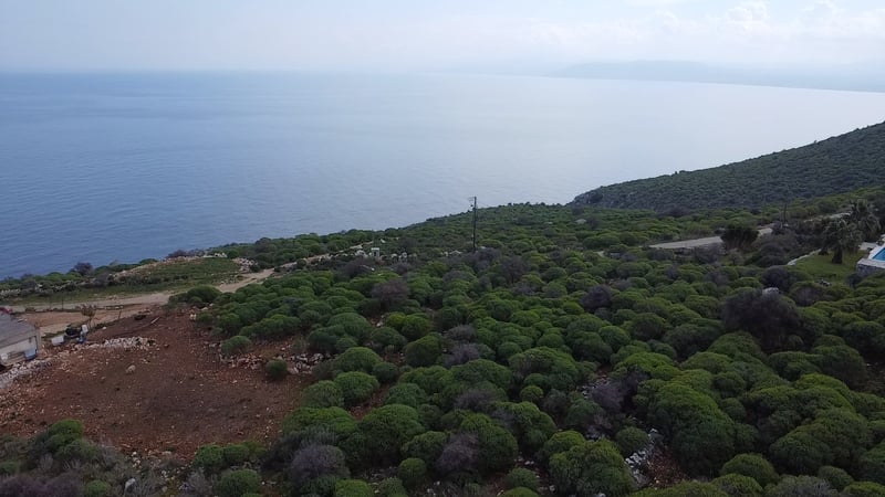 Land in Drapanos - view 1