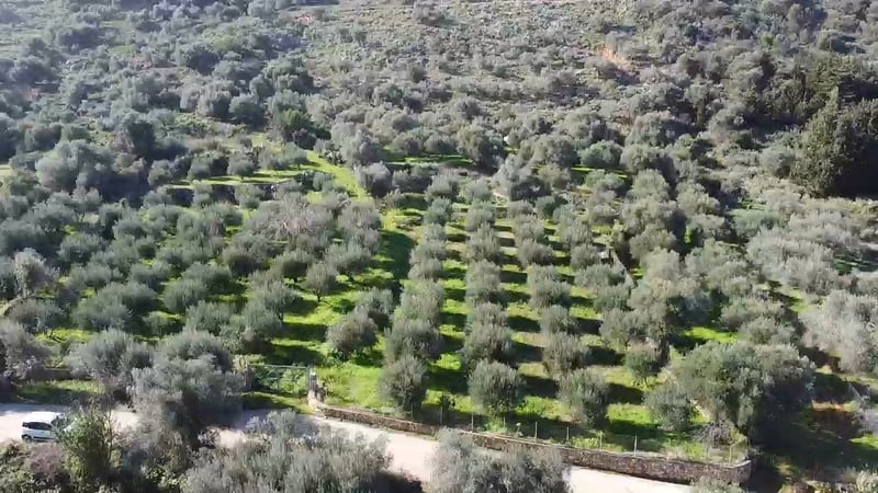 Land in Samonas - view 1