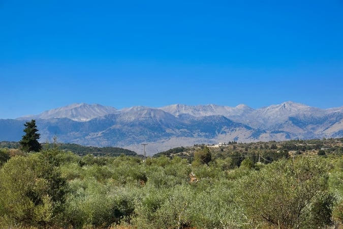 Land in Vamos - view 1