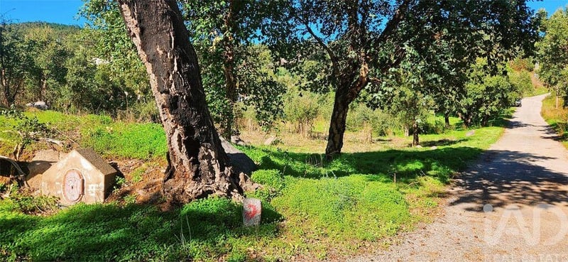 Land in Monchique - view 1