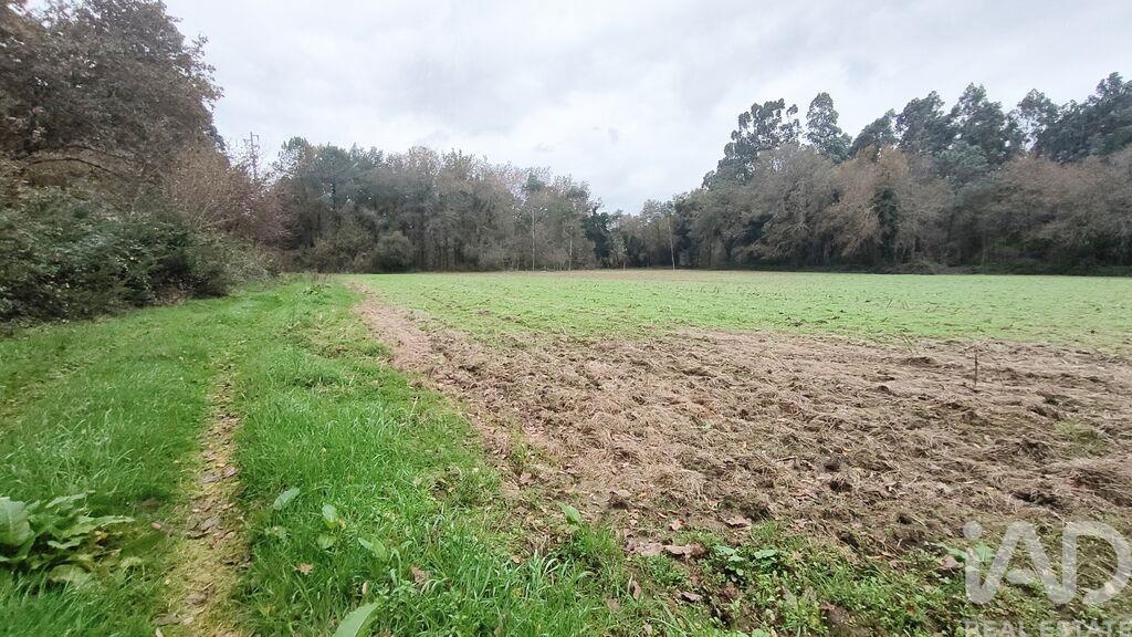 Land in Cornes - Image 2