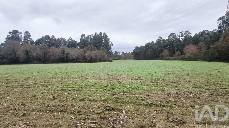 Land in Cornes - view 1